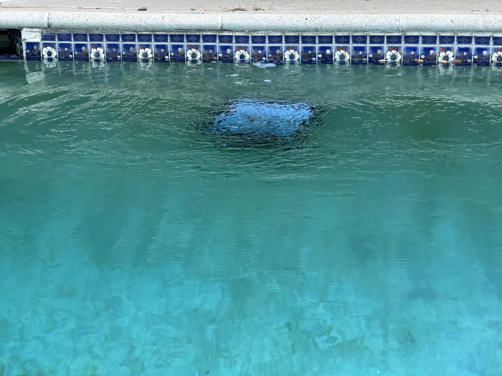 (2026 Upgrade) SAT 25 Cordless Robotic Pool Vacuum, AI Sonar Navigation, 180 Mins Runtime, Wall Climbing Auto Cleaner for Inground Pools - Not Fit for Pools with Sharp Steps or Raised Floor Drains customer photo 1