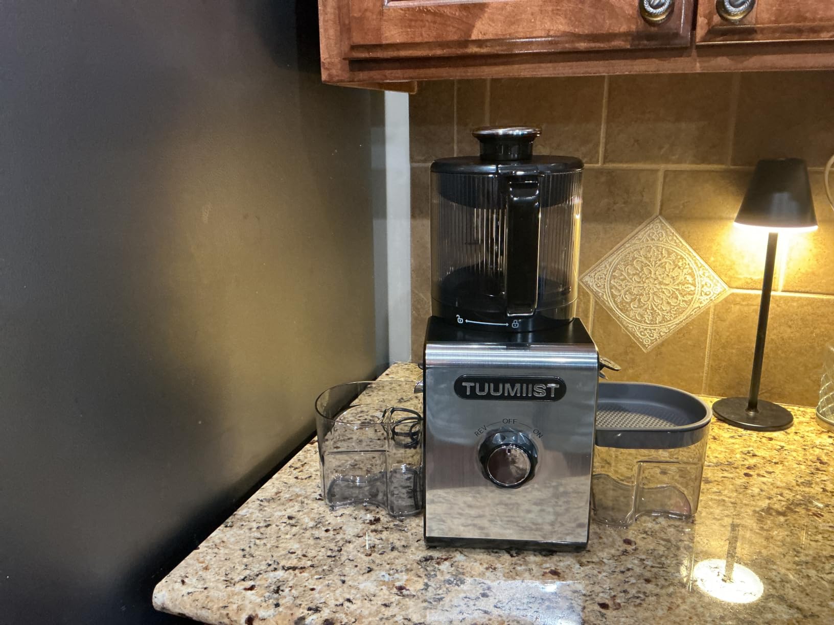 TUUMIIST 3-in-1 Juicer Machines, Makes Juice & Sorbet & Nut Milk customer photo 2