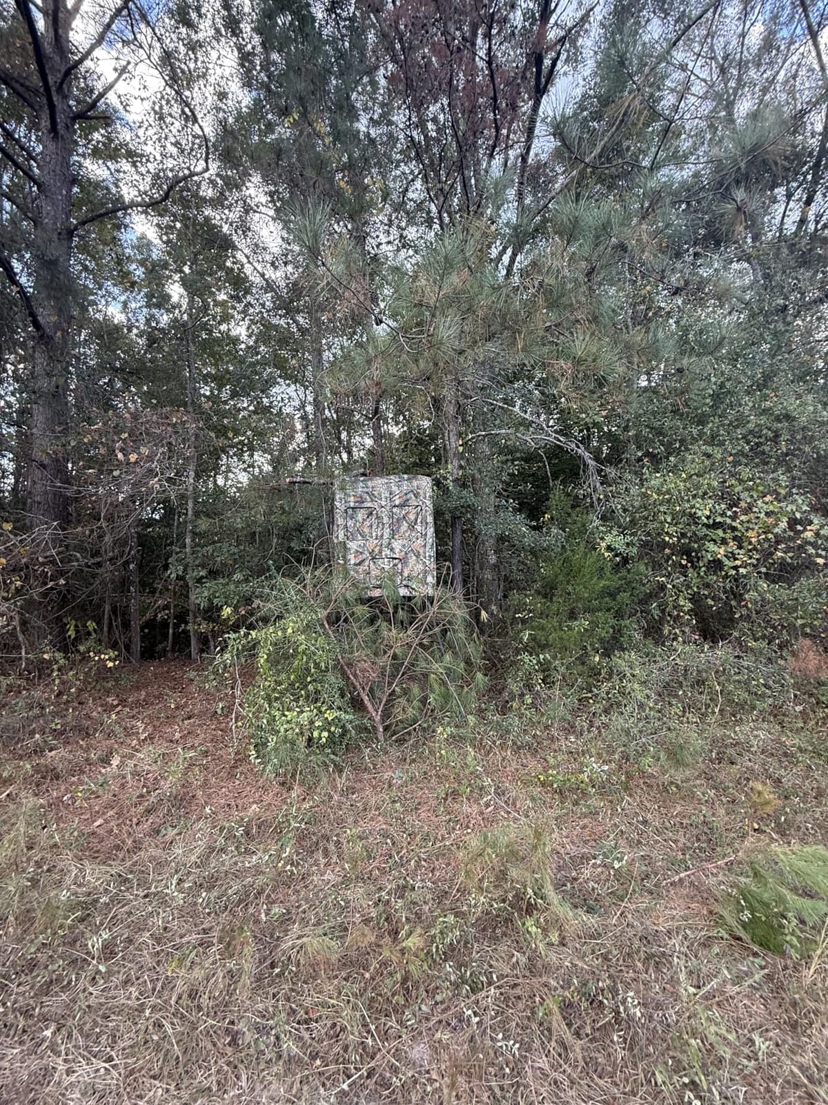 5/6FT Hunting Stand with Blind, 1-2 Man 4' x 4' Platform Deer Stand Tripod customer photo 2