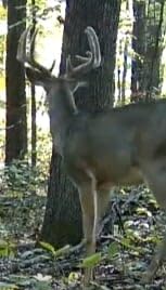 Moultrie Edge 3 Cellular Trail Camera - 2-Pack, 40MP, 0.5s Trigger customer photo 2