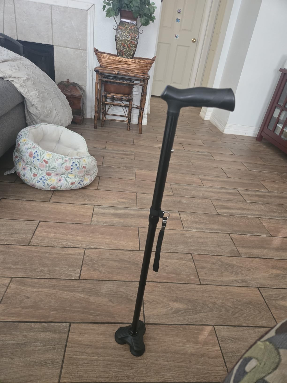 HONEYBULL Walking Cane for Men & Women, Foldable Free Standing Cane customer photo 1