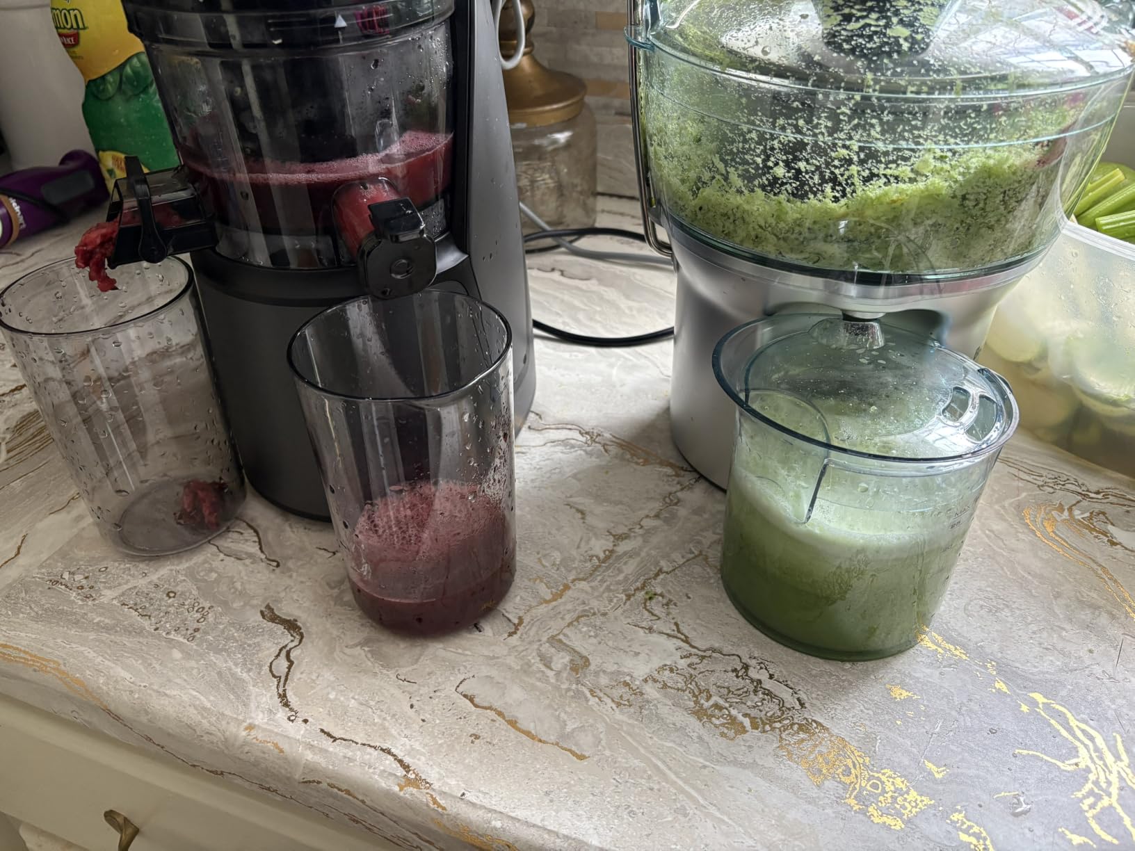 EanOruus Juicer Machines, 3-in-1 Cold Press Juicer, Premium Gray customer photo 1