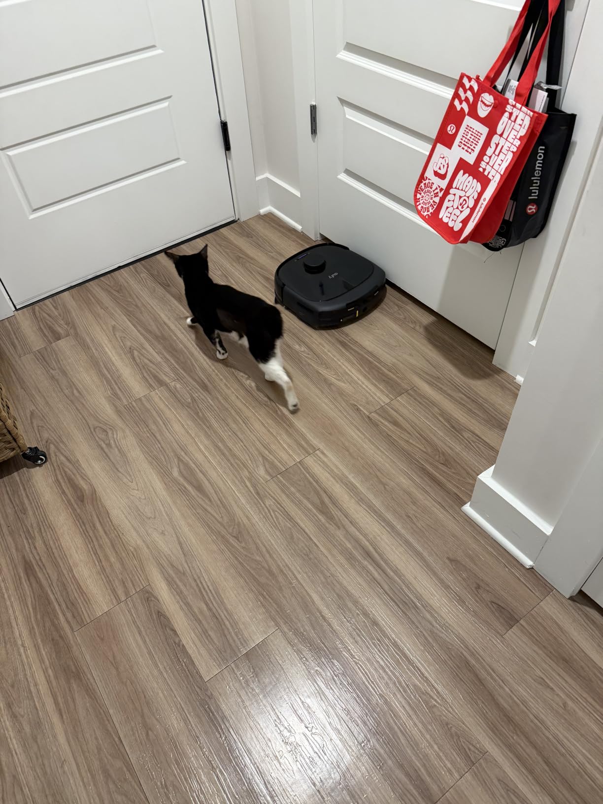 eufy Omni C20 Robot Vacuum and Mop Combo for Hardwood and Carpet, 7,000 Pa customer photo 1