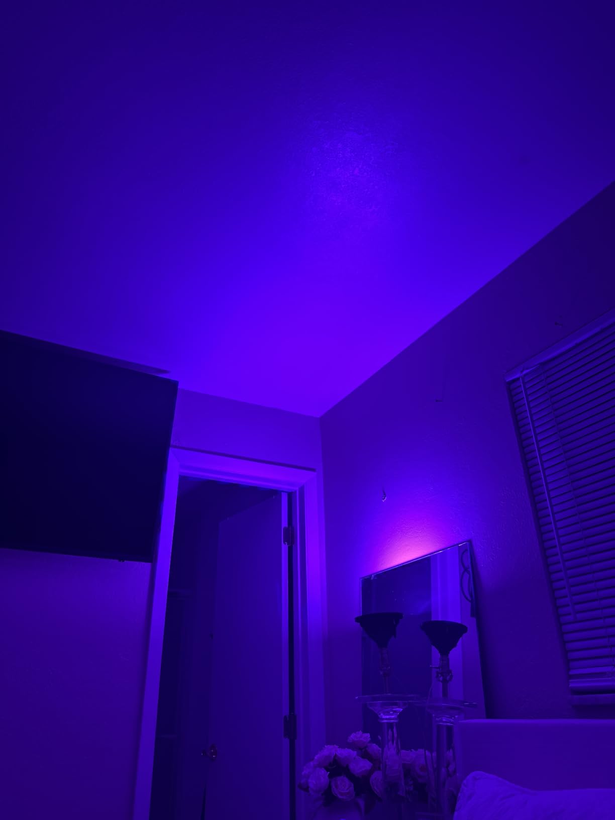 CEDIO LED Pool Light Bulb for Inground Pool 120V RGB Color Changing customer photo 2