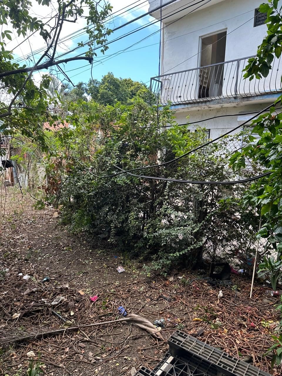 SEESII 2-in-1 Electric Pole Saws for Tree Trimming, Brushless Motor customer photo 1