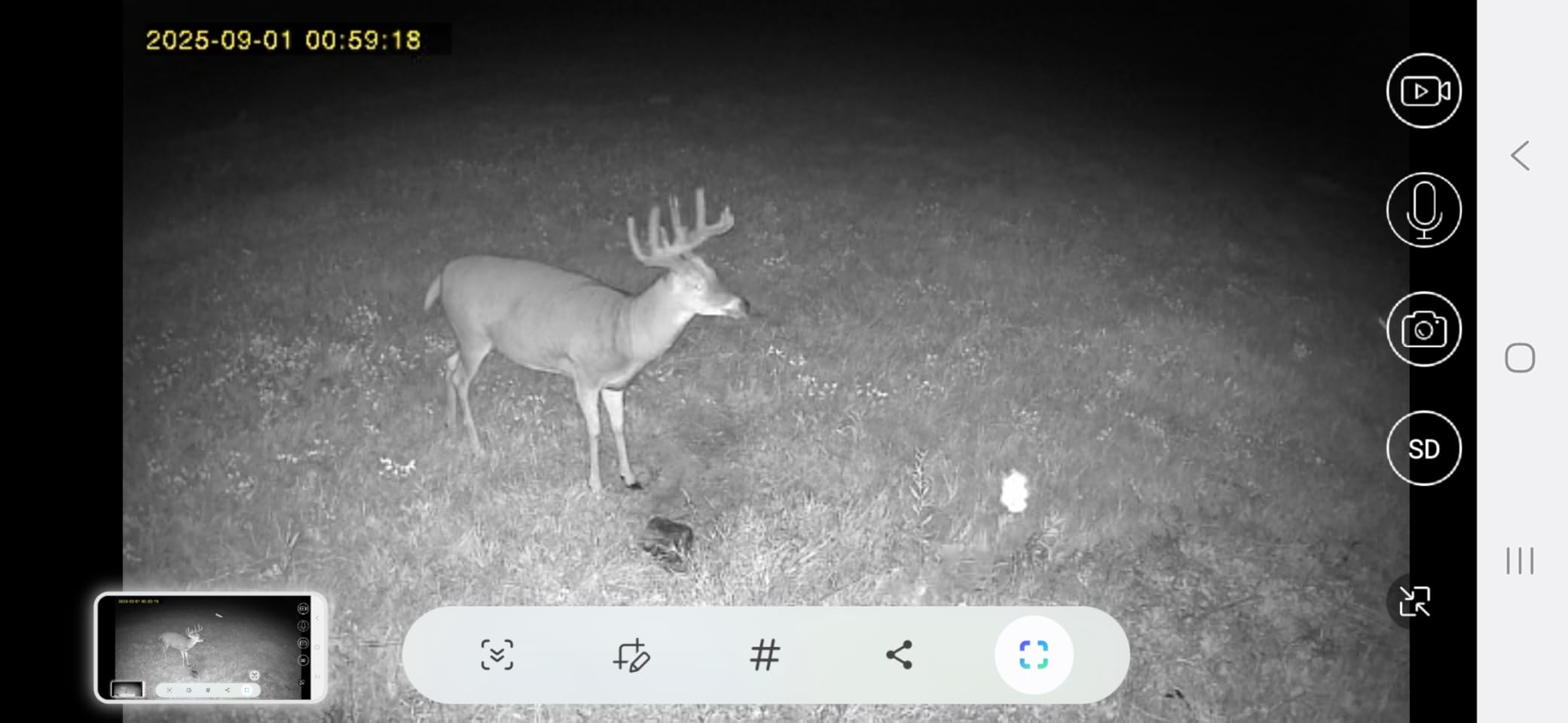 Oculview 4G LTE Cellular Trail Cameras, 360° 2K Live Streaming Game Camera, SIM Card Included, Low-Glow Night Vision, Solar Powered, Instant Alerts, Two Storage Ways, No WiFi Needed for Hunting&Trail customer photo 1