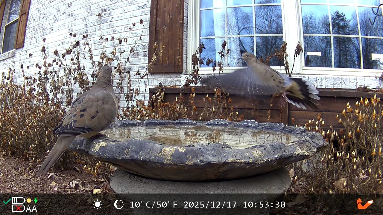 4G LTE Cellular Trail Camera, 2.5K 360° Live Feed with SIM Card Included customer photo 1