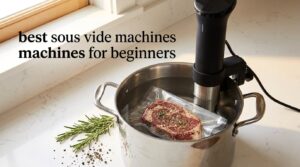 best sous vide machines for beginners