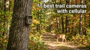 best trail cameras with cellular