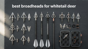 best broadheads for whitetail deer