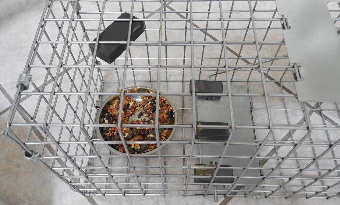 Havahart Medium 1-Door Live Animal Trap, Galvanized Steel Cage customer photo 2