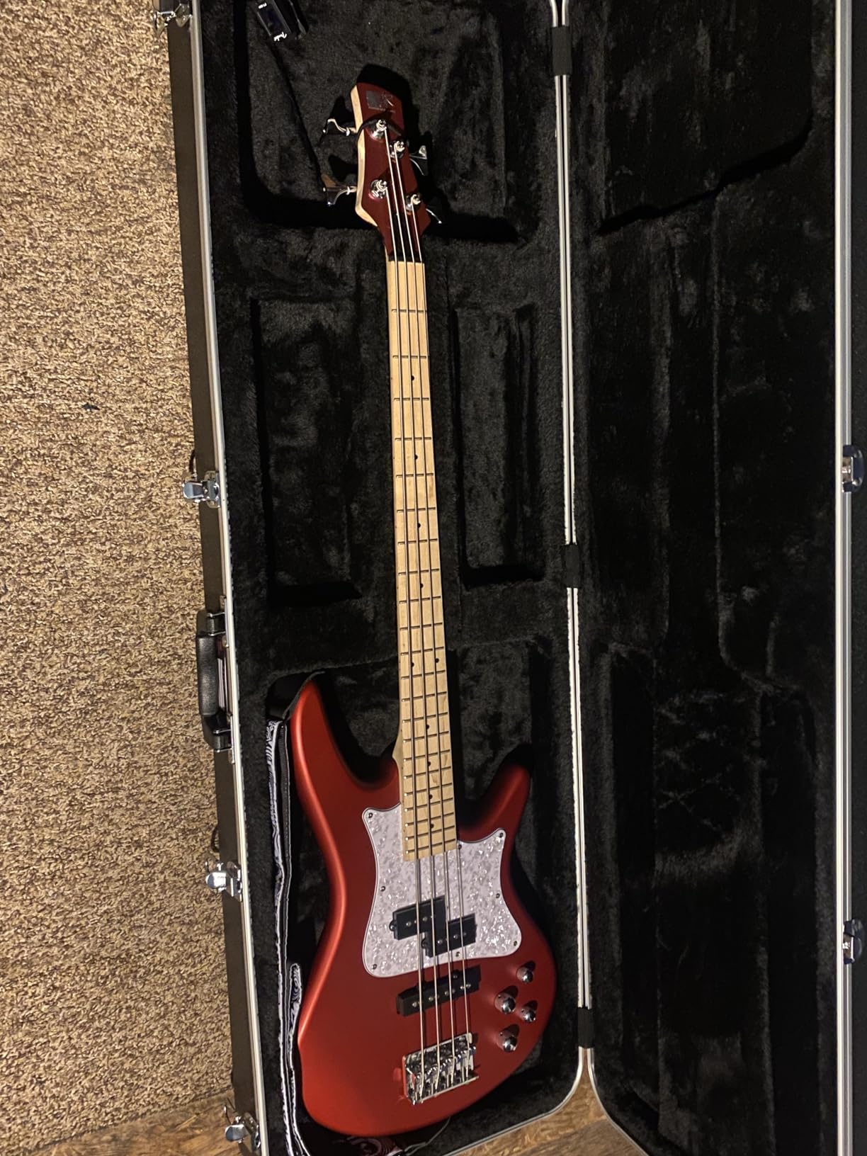 Gator Cases Deluxe ABS Molded Guitar Case for Electric Bass Guitars (GC-BASS) customer photo 2