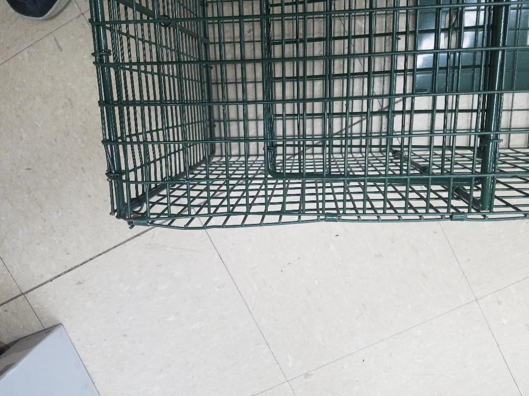 Duke Traps Heavy Duty Large Cage Trap customer photo 2