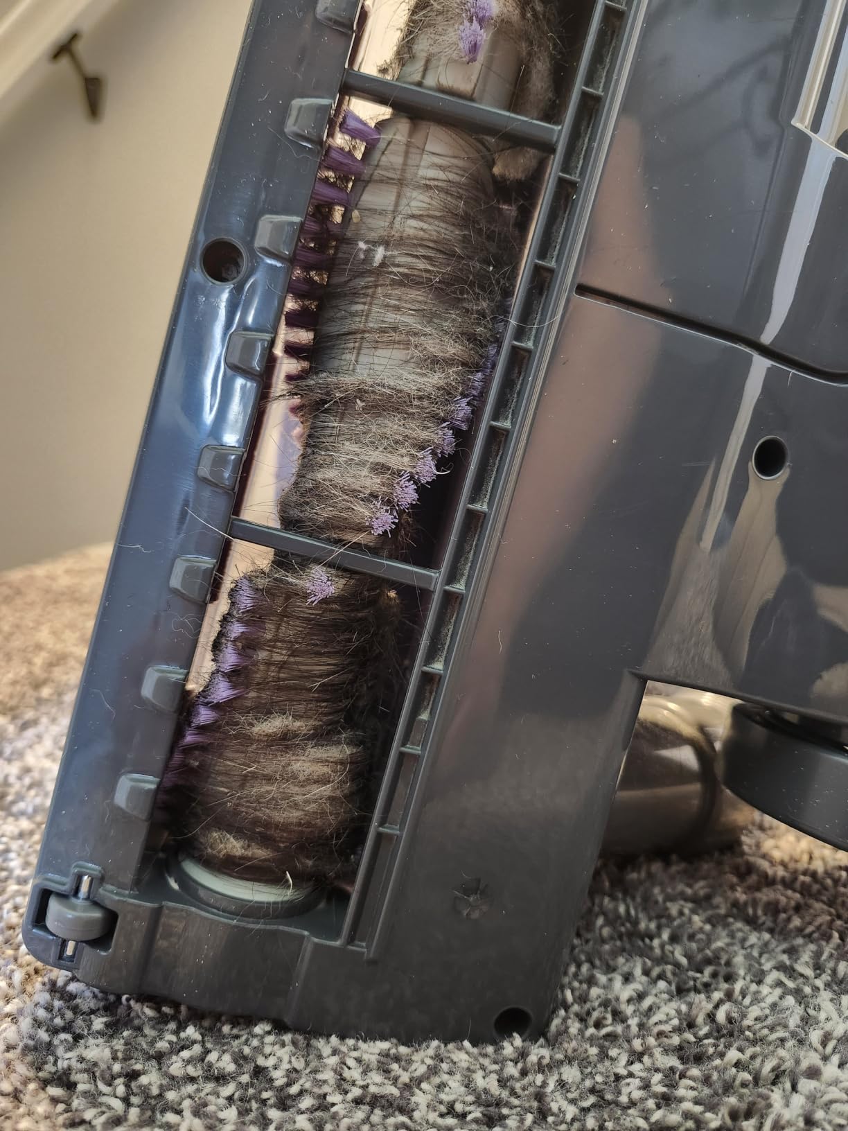 Shark Navigator Lift-Away Upright Vacuum, HEPA, Pet Hair, Lavender, NV352 customer photo 2