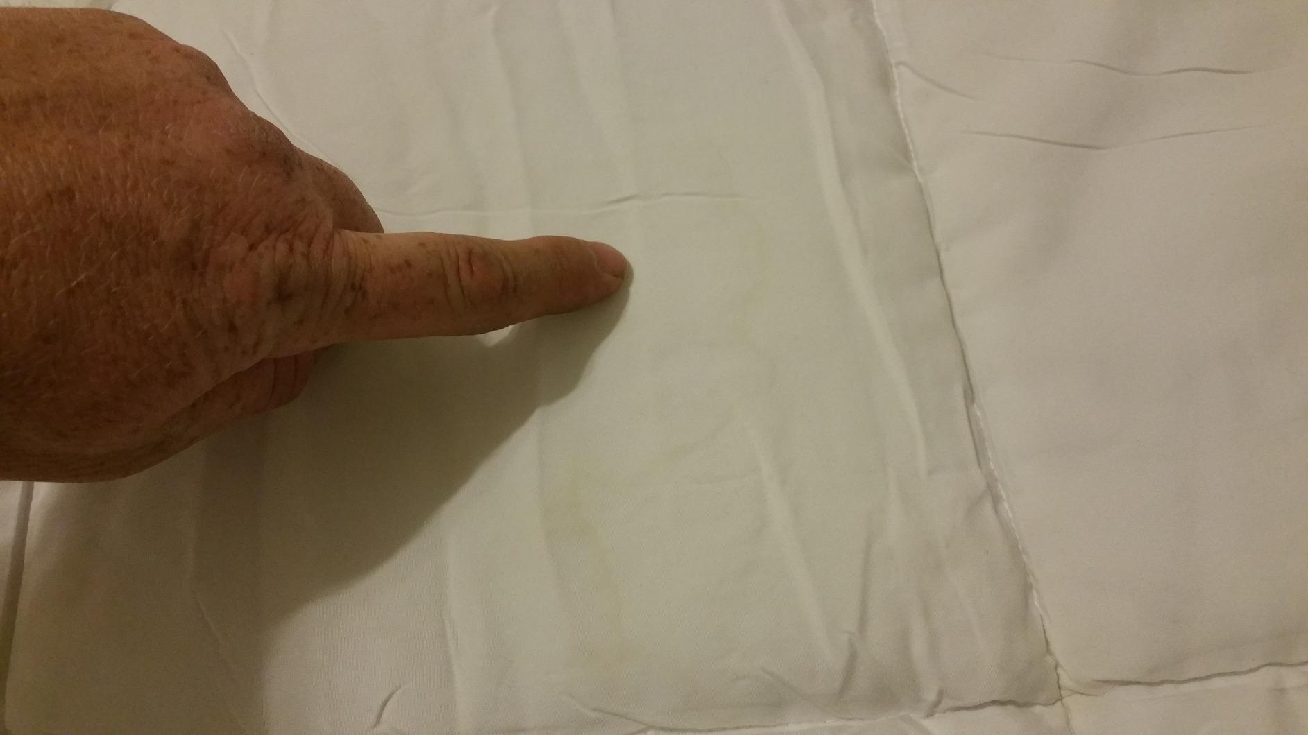 HOSPITOLOGY PRODUCTS White Comforter Queen Hypoallergenic Duvet Insert Microfiber All Season Goose Down Alternative Quilted - Corner Loops - Box Stitched - Washable - 90