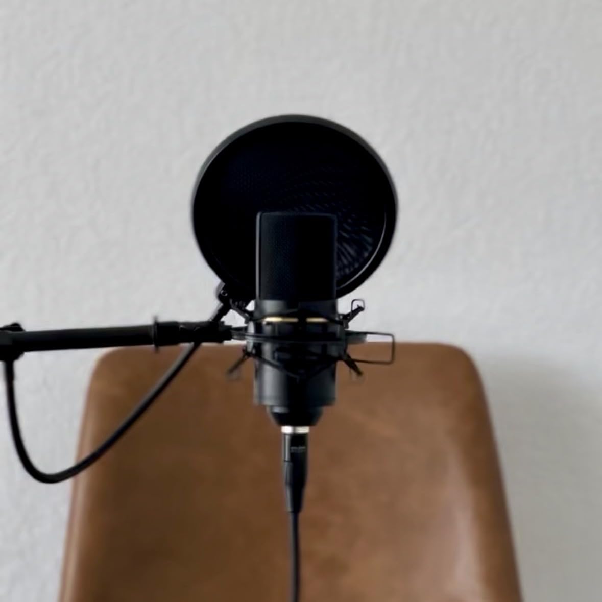 NEEWER Professional Microphone Pop Filter Shield customer photo 2