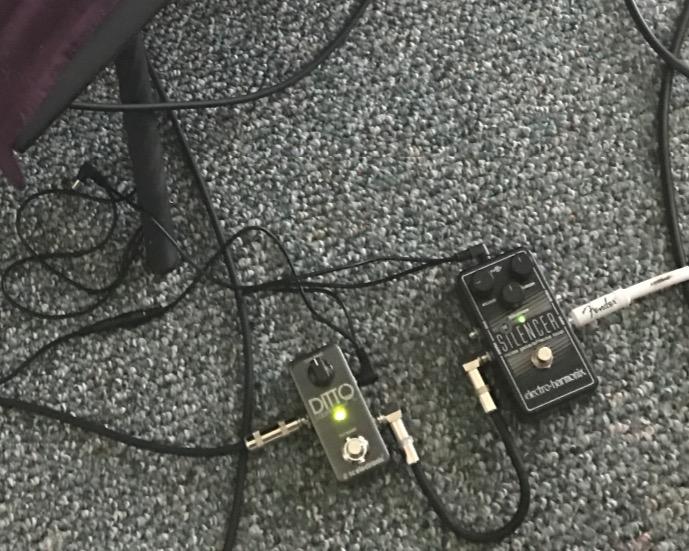 TC Electronic DITTO LOOPER Highly Intuitive Looper Pedal with 5 Minutes of Looping Time, Analog-Dry-Through and True Bypass customer photo 1