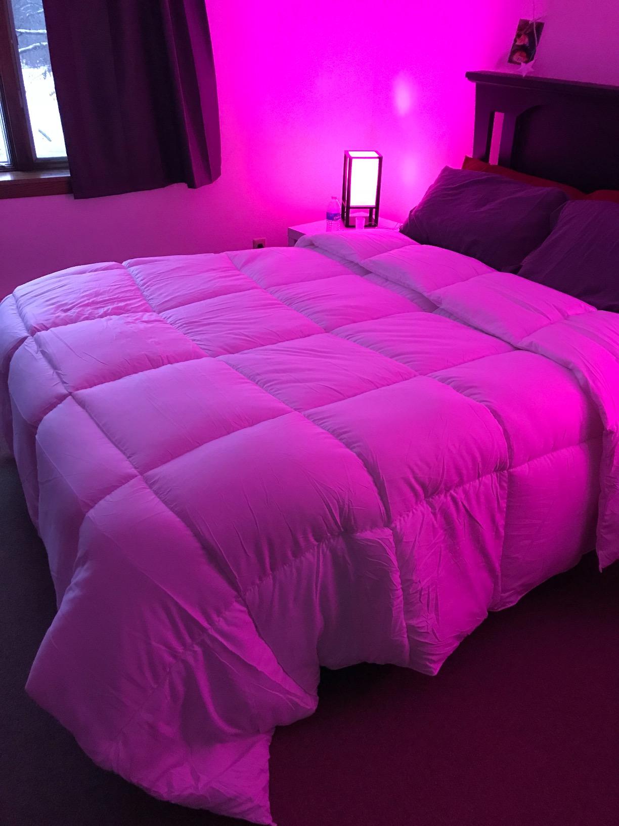 Utopia Bedding Queen Comforter, Duvet Insert, White, 88 x 88 Inches customer photo 2