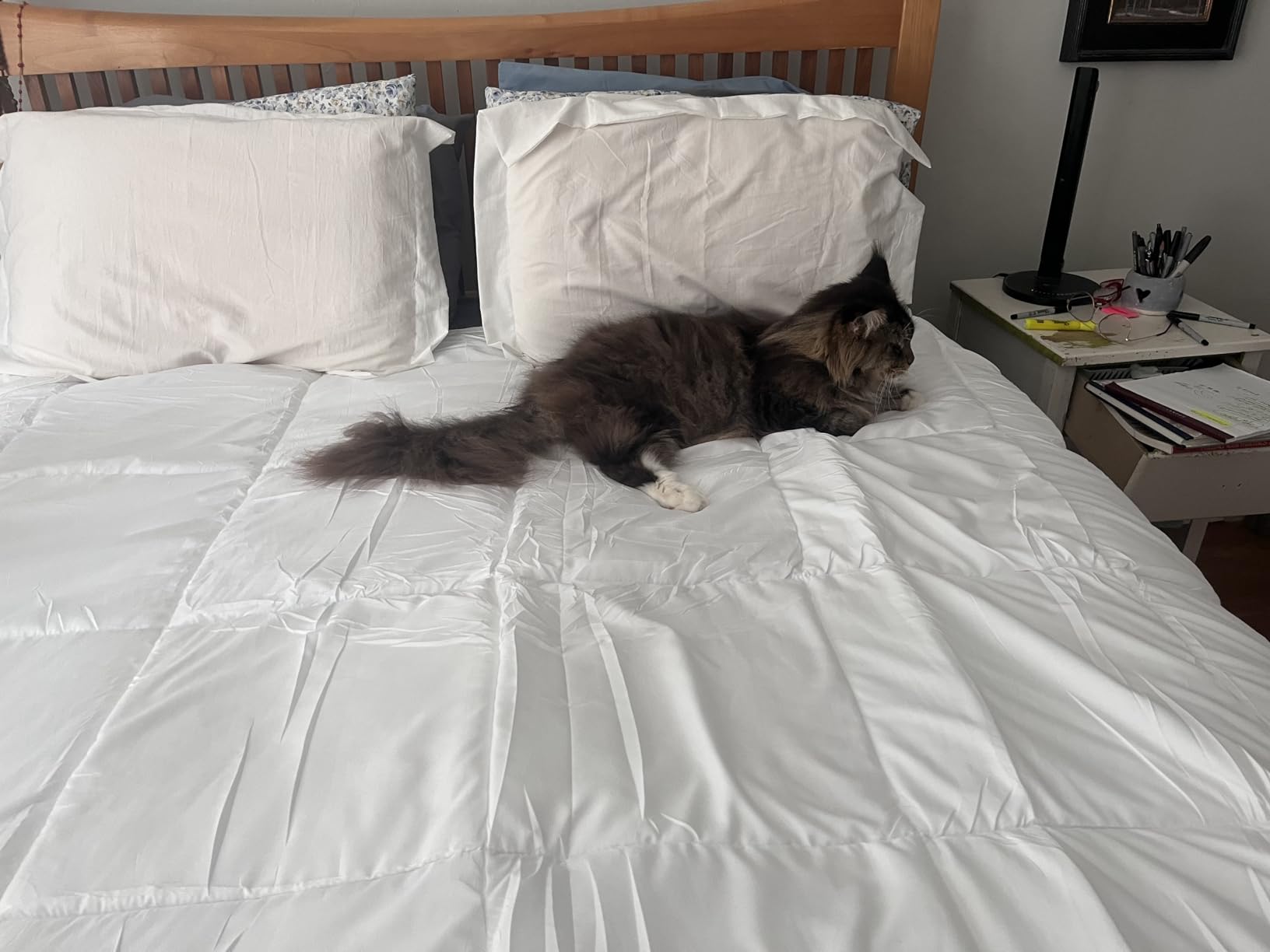 Utopia Bedding Comforter King Size, Duvet Insert, White, 90 x 102 Inches customer photo 1
