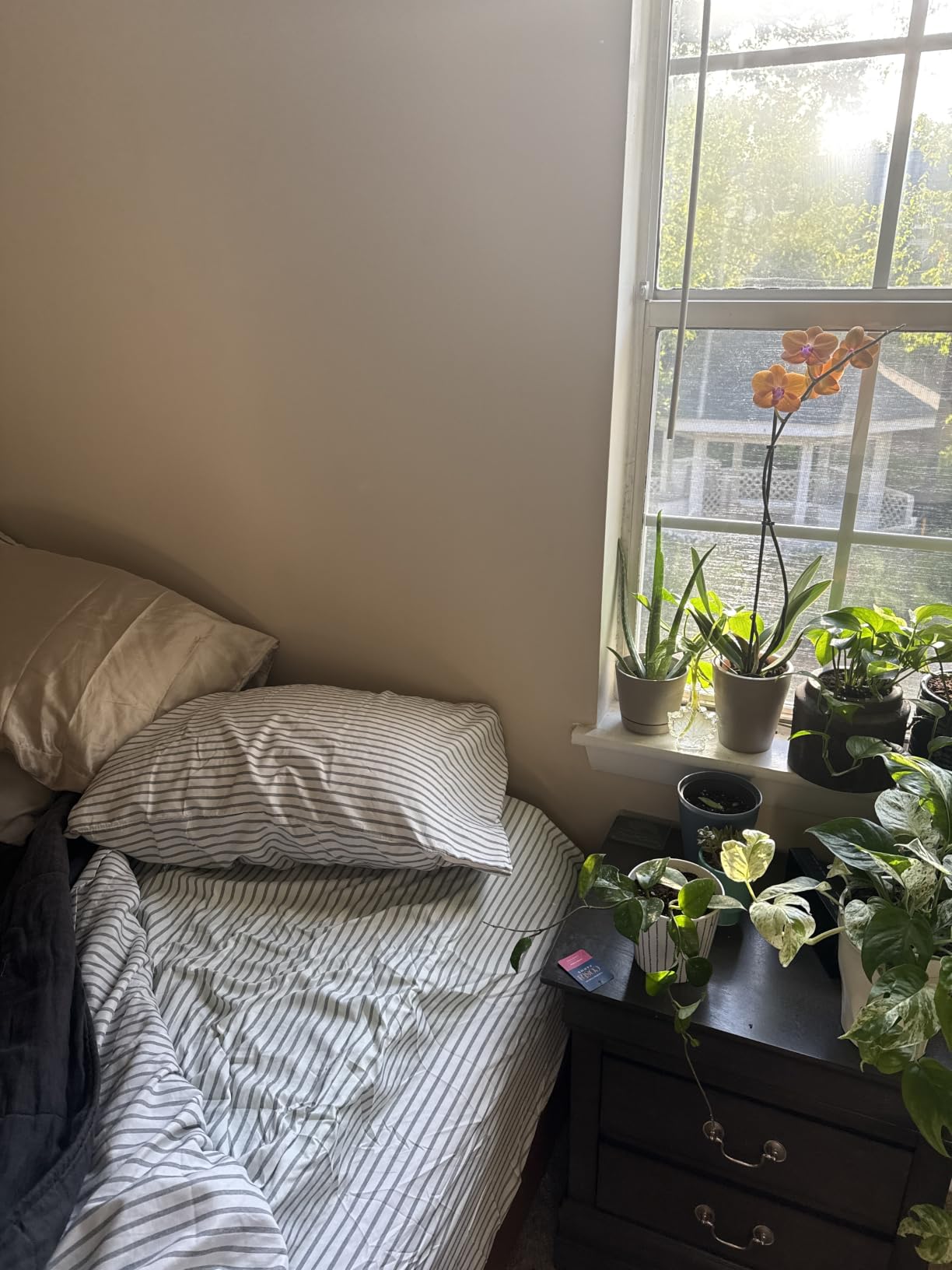 Queen Size 4 Piece Sheet Set - Comfy Breathable & Cooling Sheets - White customer photo 2