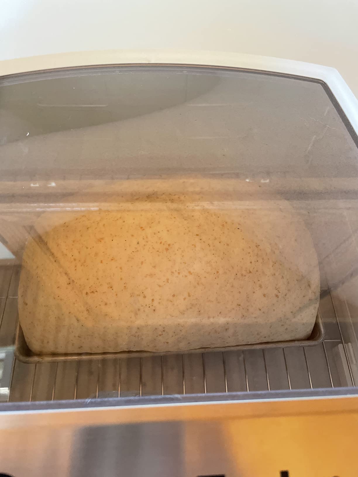 Brod & Taylor Folding Proofer & Slow Cooker (Proofer) customer photo 2