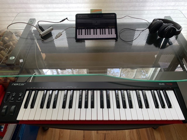 Nektar, 49-Key Midi Controller (SE49),Black white Grey customer photo 2