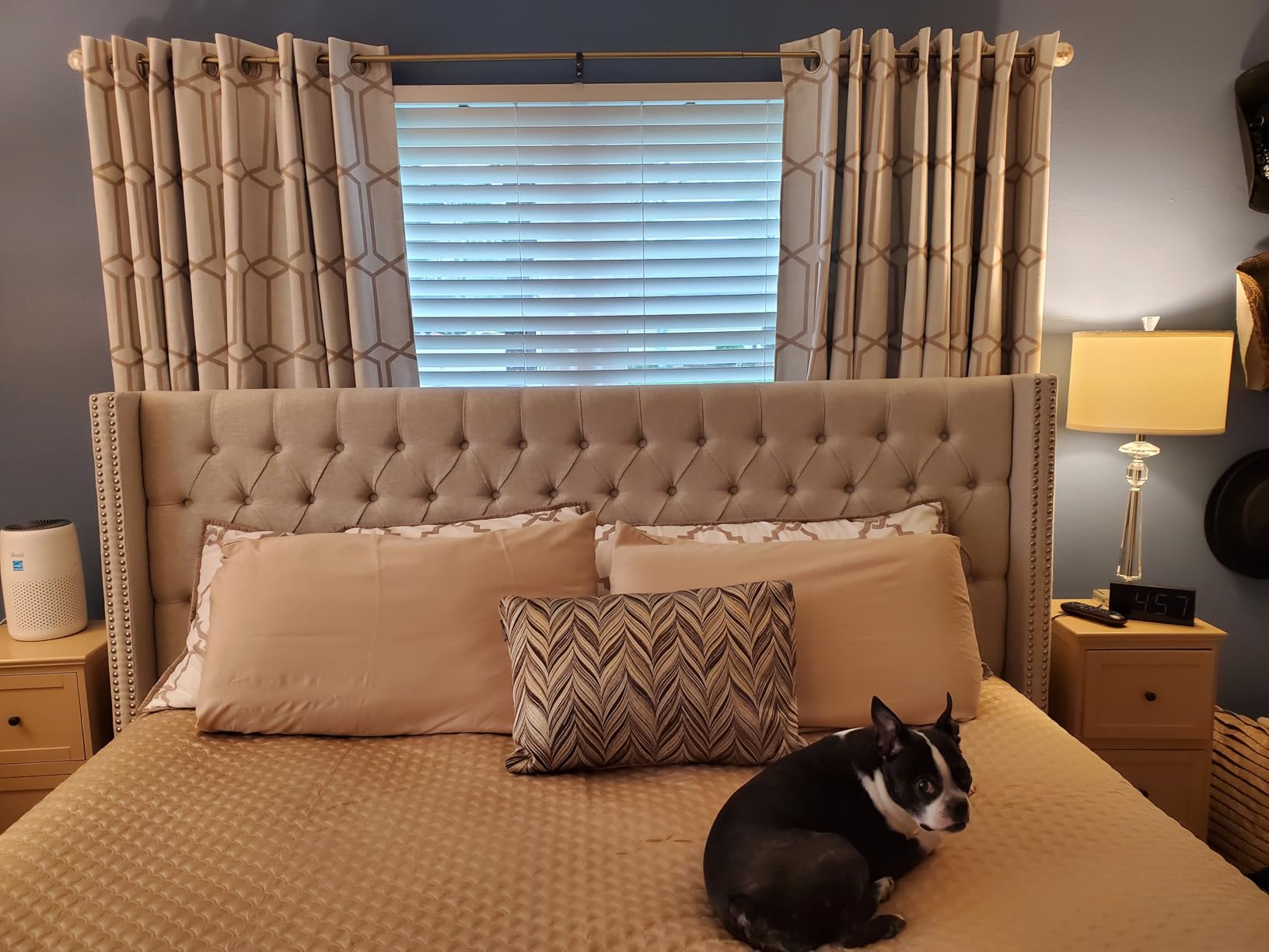 Madison Park Amelia Upholstered Headboard | Nail Head Trim Wingback Button Tufted | King, Cream customer photo 2