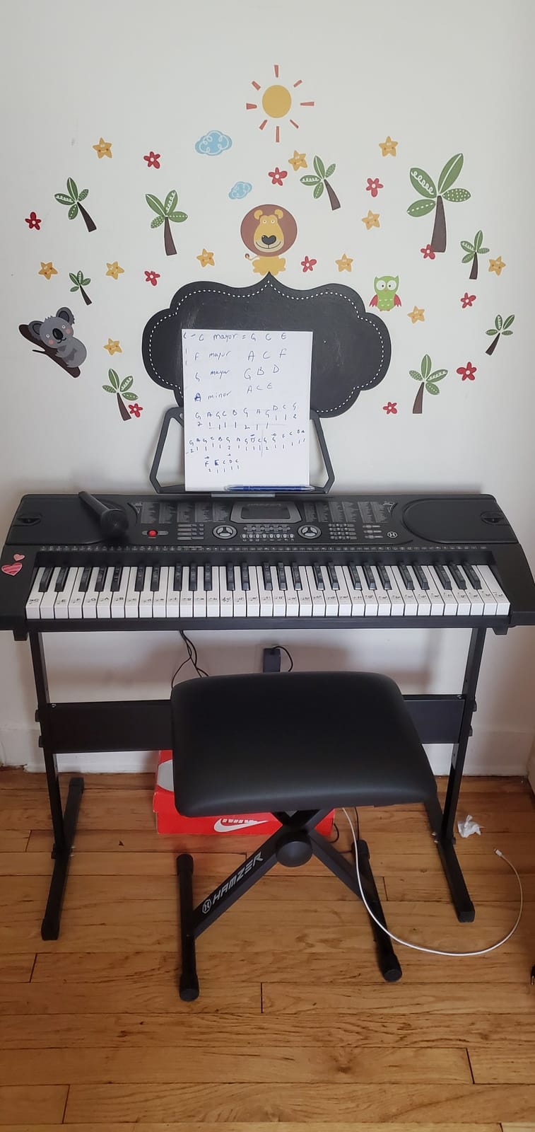 Hamzer 61 Key Digital Keyboard Piano with Stand & Bench, Beginner Electric Piano Keyboard Kit with Speakers, Headphones, Microphone, Keynote Stickers customer photo 1