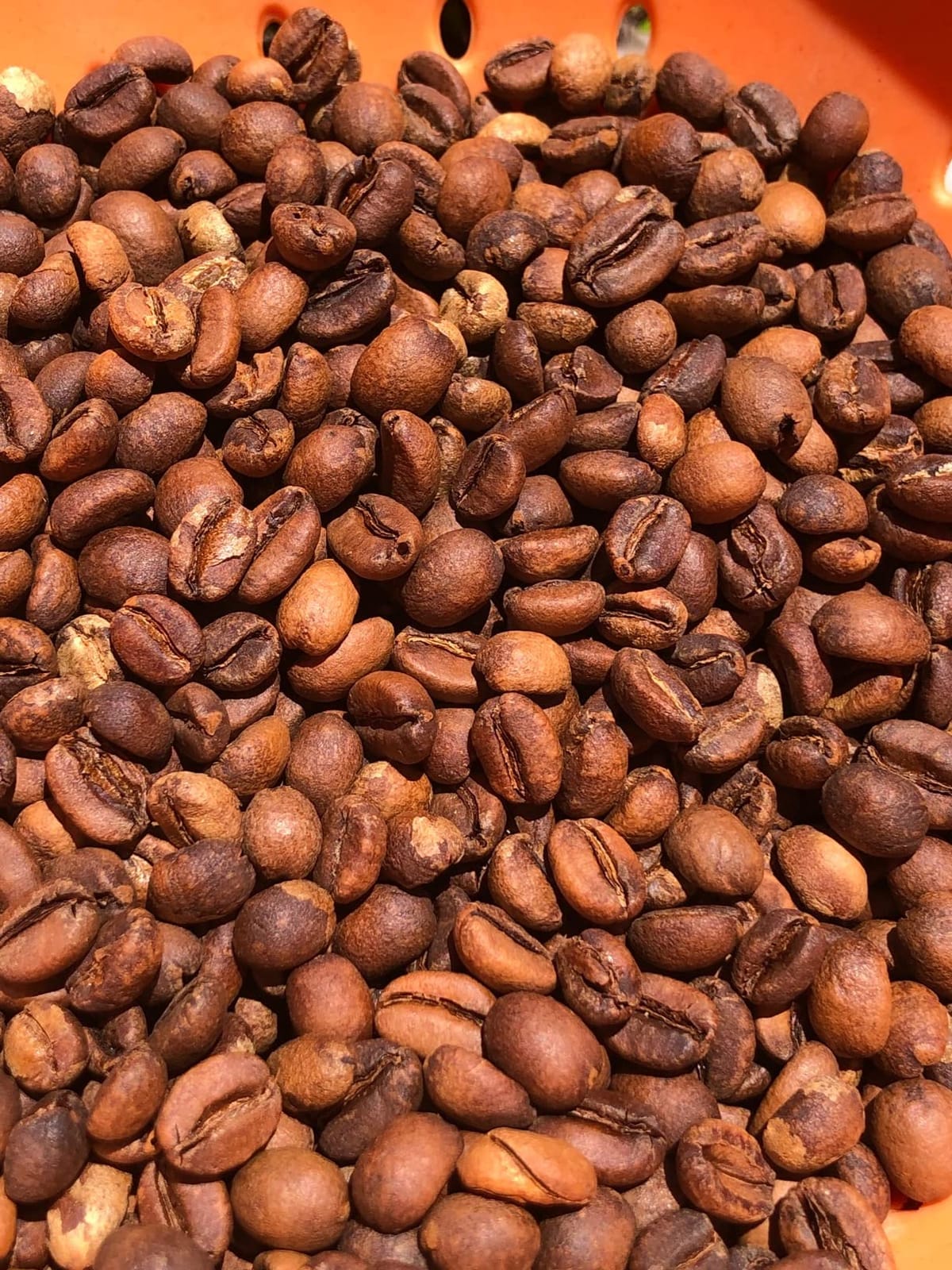 Coffee Bean Roaster Barrel Glass (250g/0.55lb) customer photo 2