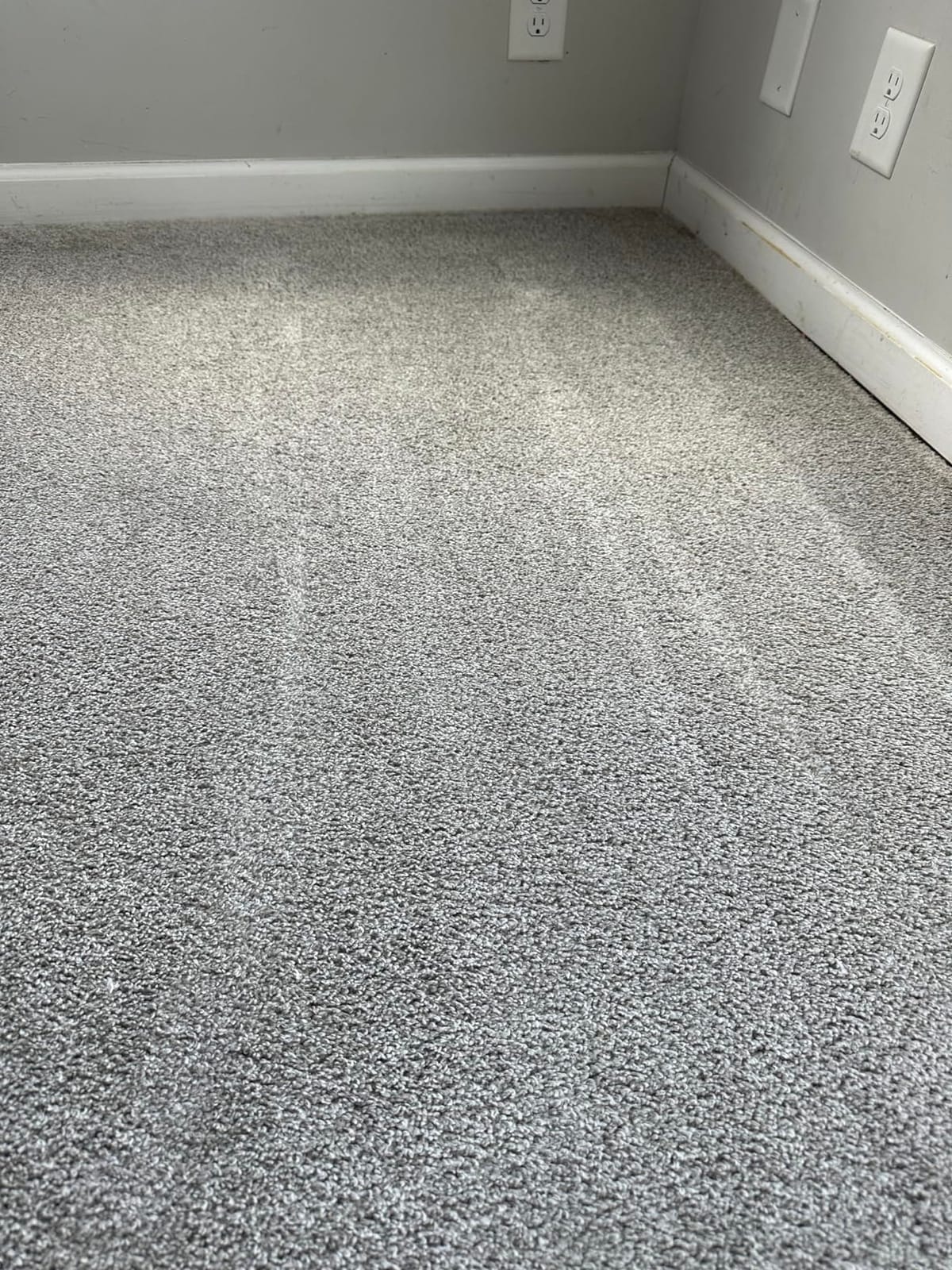 Rug Doctor Mighty Pro X3 Commercial Carpet Cleaner with Oxy Cleaner Pack customer photo 1