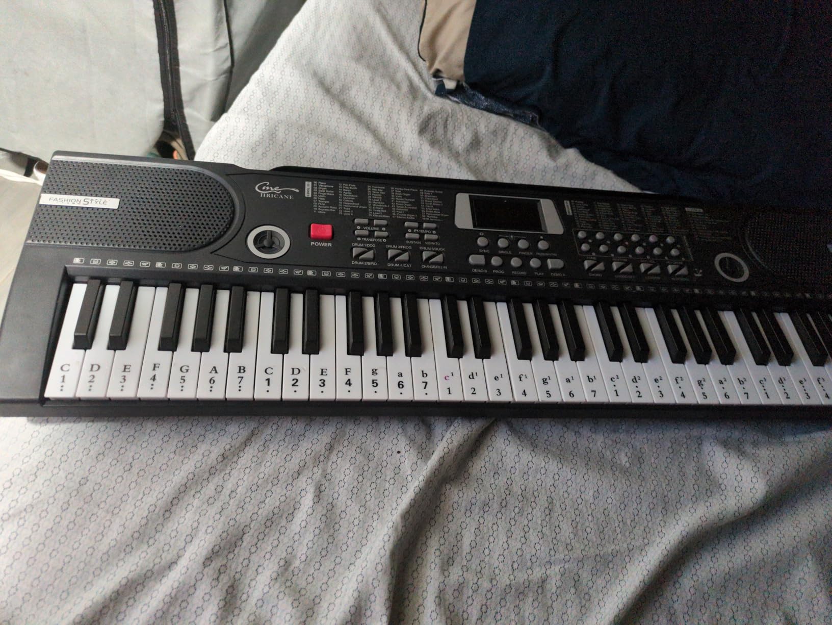 Piano Keyboard, 61 Keys Beginner Electronic Keyboard Portable Digital Music Keyboard, Early Education Music Instrument with Microphone & Music Sheet Stand customer photo 2