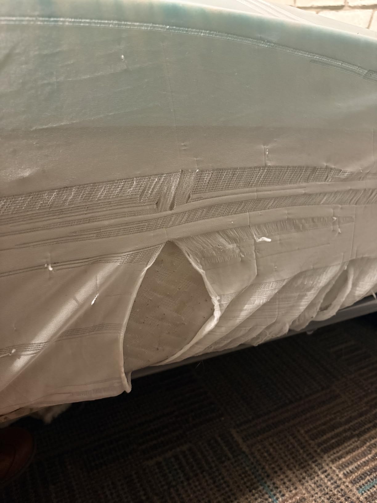 Queen Size Mattress Protector Waterproof,Absorbent Fitted Sheet customer photo 1
