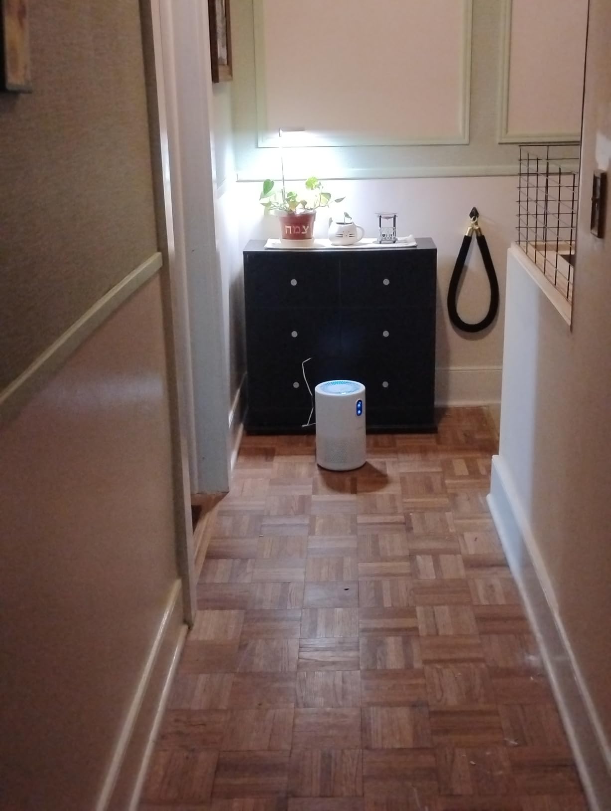 MOOKA Air Purifiers for Home Room up to 1076ft², True HEPA Filter, B-D02L customer photo 2