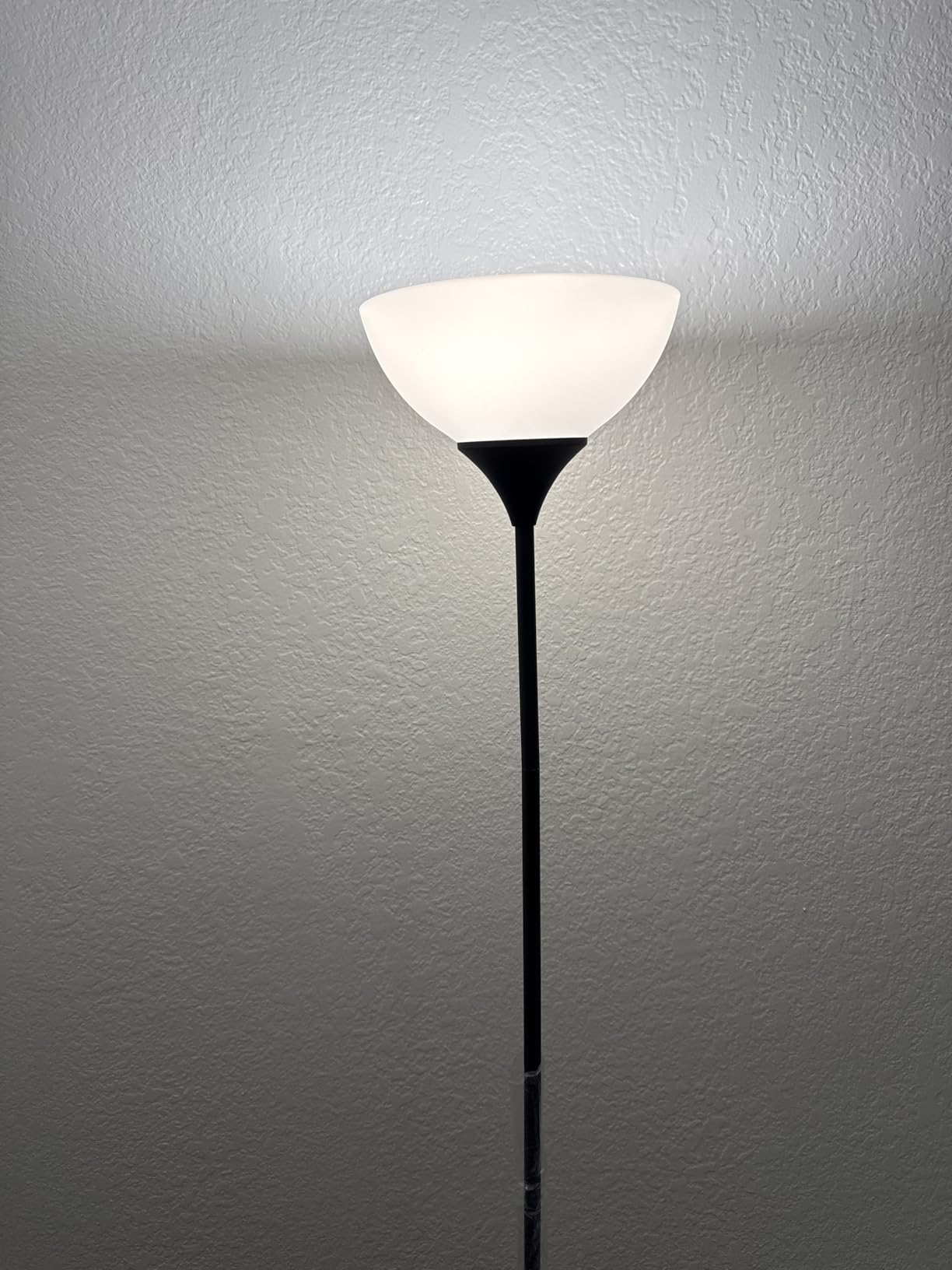 PESRAE Floor Lamp, Remote Control, Stepless Brightness & Color Temperature customer photo 2