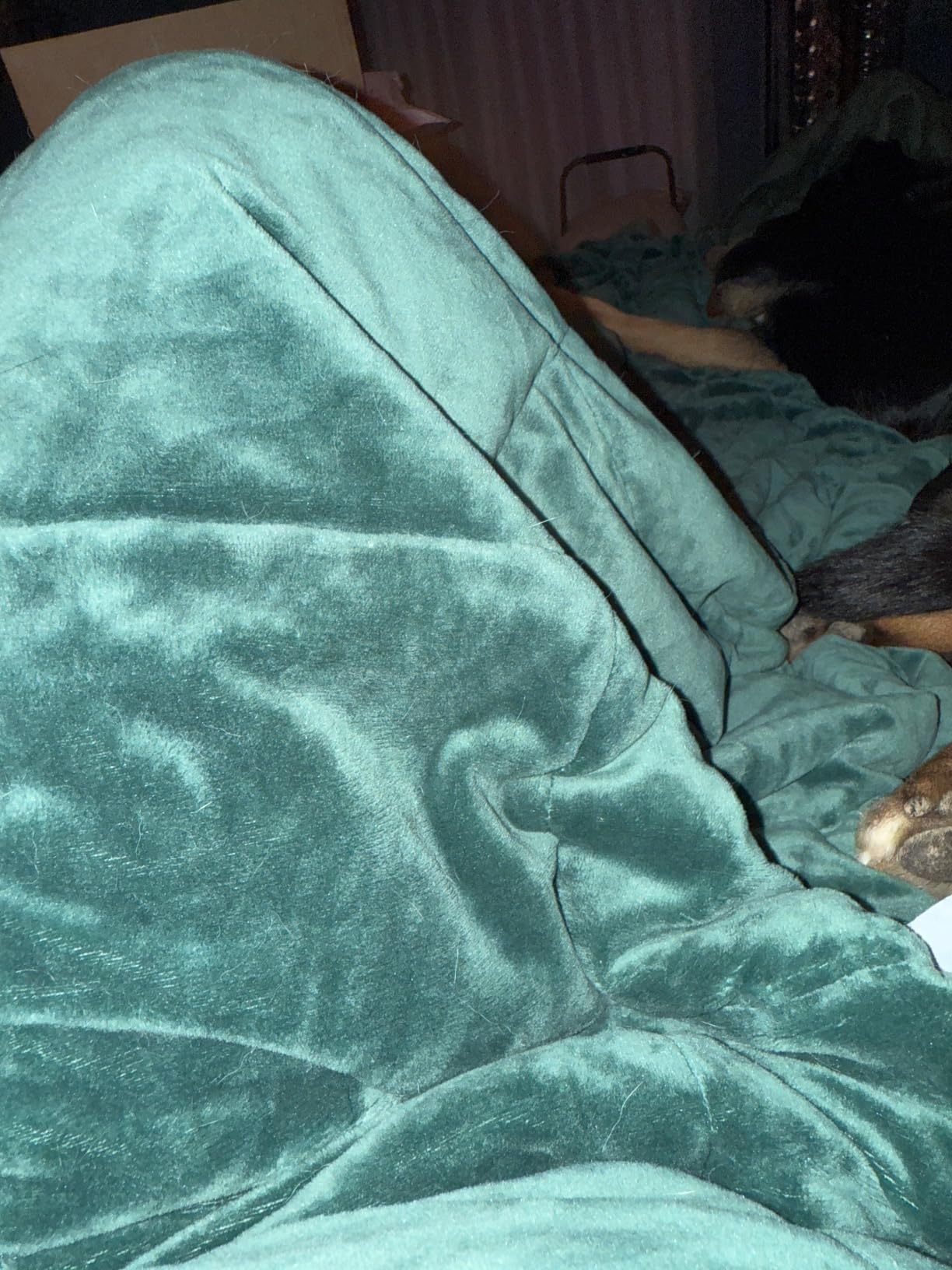 Alomidds Weighted Blanket (60