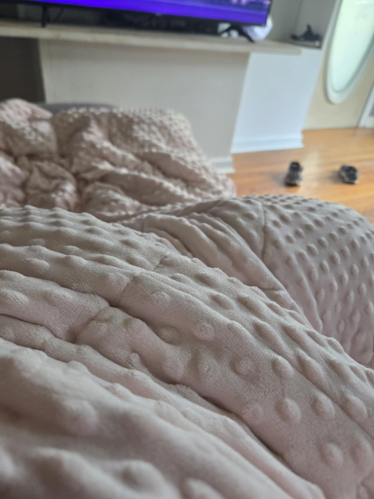 Alomidds Weighted Blanket (60
