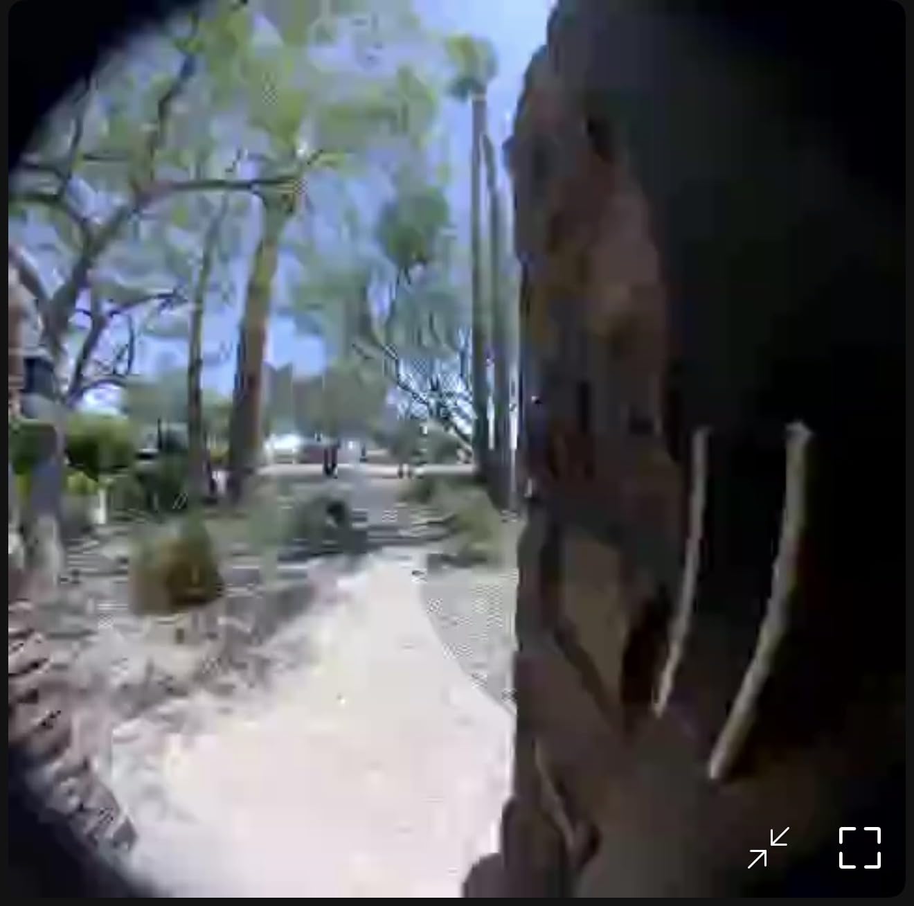 Ring Battery Doorbell, Home or business security with Head-to-Toe video, Live View with Two-Way Talk, and Motion Detection & Alerts, Satin Nickel customer photo 2