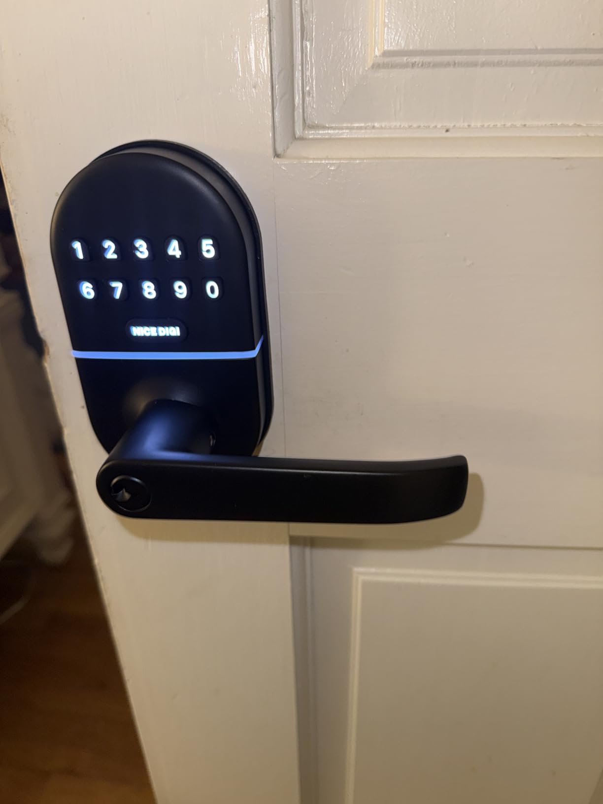 Keypad Door Lock with Handle, Smart Keyless Entry with Code for Front Door customer photo 2