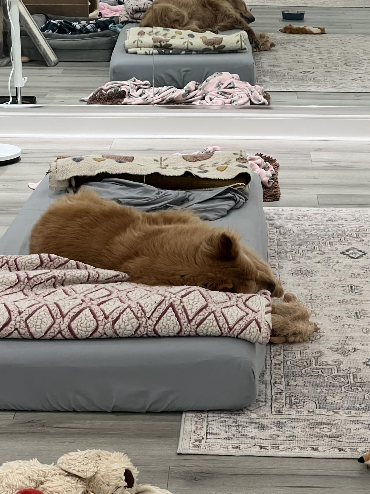 Zinus 6 Inch Twin Green Tea Memory Foam Mattress, Medium Firm Feel customer photo 1
