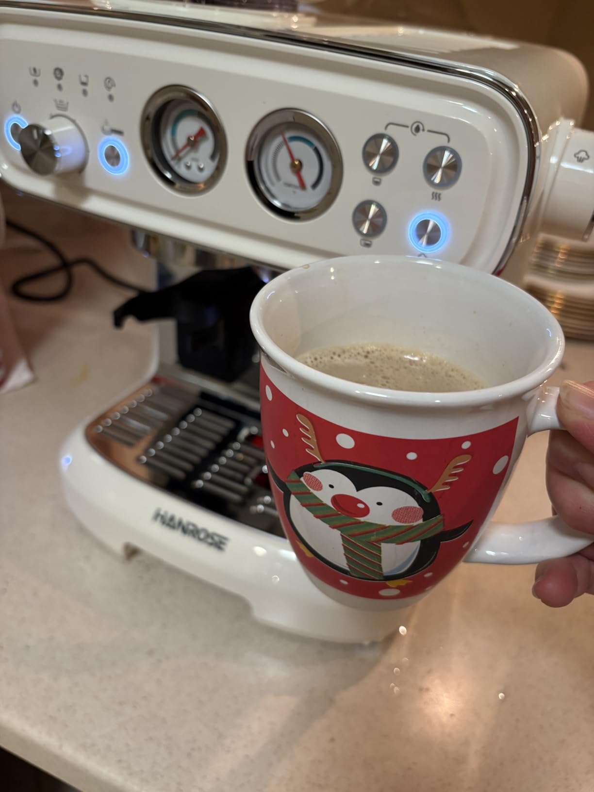 Espresso Machine with Grinder and Milk Frother, 20 Bar ULKA Pump customer photo 1