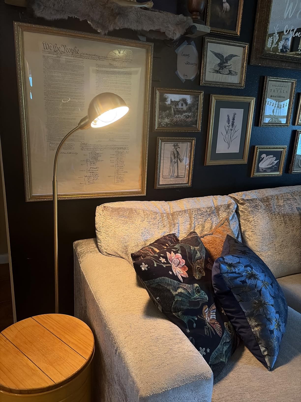 O'Bright Adjustable Floor Lamp with Flexible Gooseneck and Rotatable Shade, E26 Socket, 10-Inch Base - Ideal for Reading, Bedside, Living Room, Brushed Nickel customer photo 1