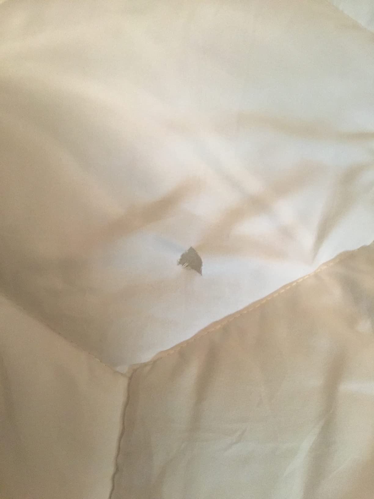 Favorland Mattress Topper King Size - Cooling Extra Thick Breathable Viscose Made from Bamboo Mattress pad - Soft Quilted Fitted Mattress Cover with 900 GSM Down Alternative Fill (8-21”Deep Pocket) customer photo 2